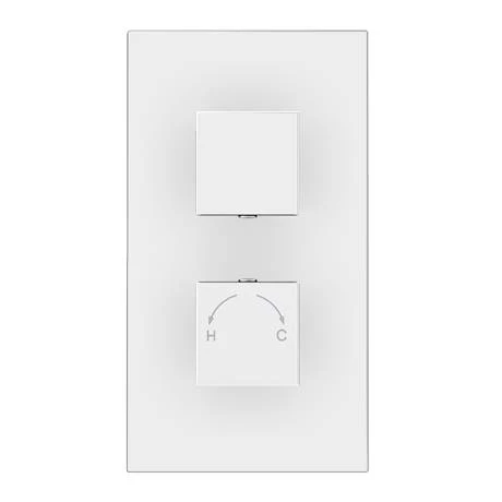 Milan Twin Shower Valve inc. Outlet Elbow, Handset + Ultra Thin Head with Vertical Arm - Image 5